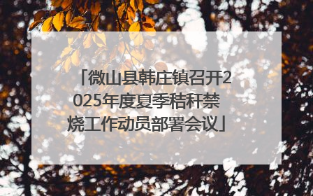 微山县韩庄镇召开2025年度夏季秸秆禁烧工作动员部署会议