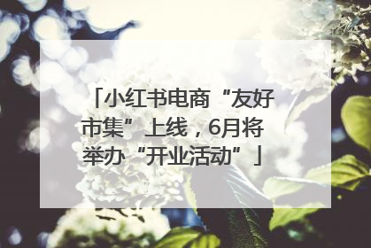 小红书电商“友好市集”上线，6月将举办“开业活动”