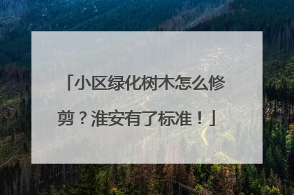小区绿化树木怎么修剪？淮安有了标准！