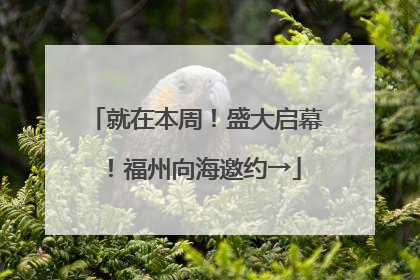就在本周！盛大启幕！福州向海邀约→