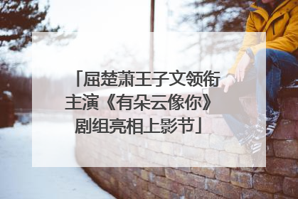 屈楚萧王子文领衔主演《有朵云像你》剧组亮相上影节