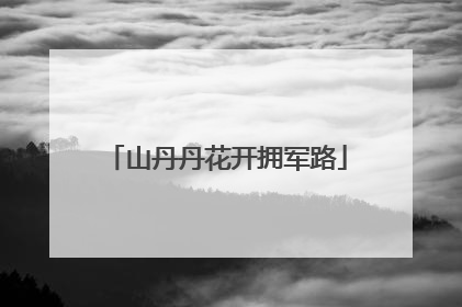 山丹丹花开拥军路