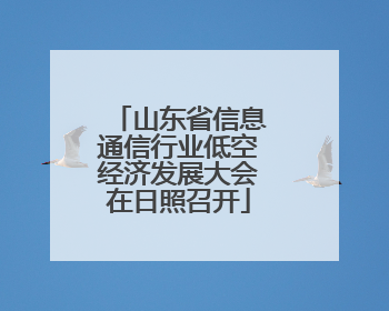 山东省信息通信行业低空经济发展大会在日照召开