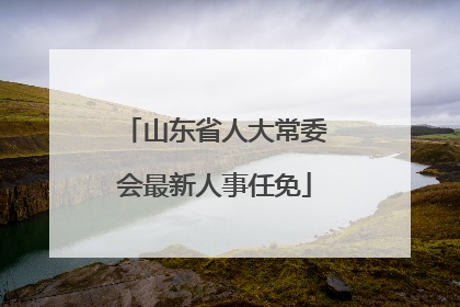 山东省人大常委会最新人事任免