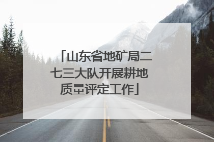 山东省地矿局二七三大队开展耕地质量评定工作