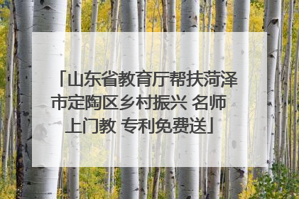 山东省教育厅帮扶菏泽市定陶区乡村振兴 名师上门教 专利免费送
