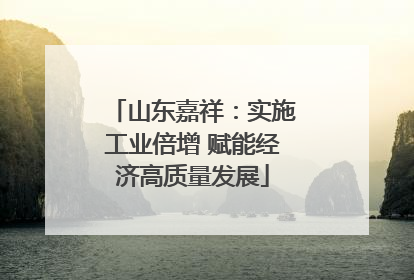 山东嘉祥：实施工业倍增 赋能经济高质量发展