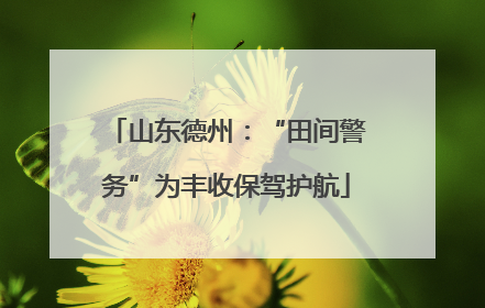 山东德州：“田间警务”为丰收保驾护航