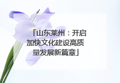山东莱州：开启加快文化建设高质量发展新篇章