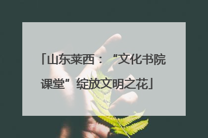 山东莱西：“文化书院课堂”绽放文明之花