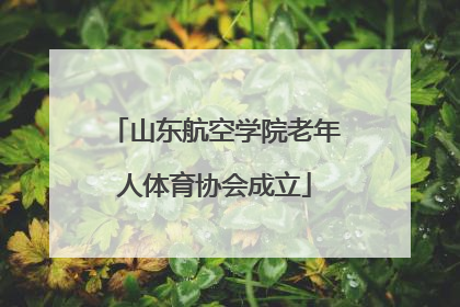 山东航空学院老年人体育协会成立