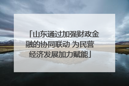 山东通过加强财政金融的协同联动 为民营经济发展加力赋能