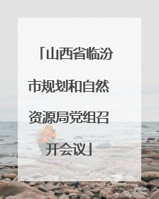 山西省临汾市规划和自然资源局党组召开会议