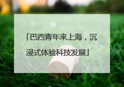 巴西青年来上海，沉浸式体验科技发展
