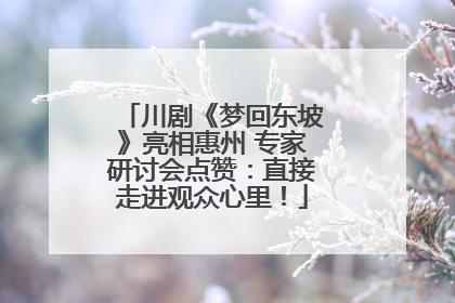 川剧《梦回东坡》亮相惠州 专家研讨会点赞：直接走进观众心里！
