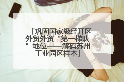 巩固国家级经开区外贸外资“第一梯队”地位——解码苏州工业园区样本