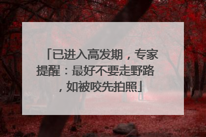 已进入高发期，专家提醒：最好不要走野路，如被咬先拍照