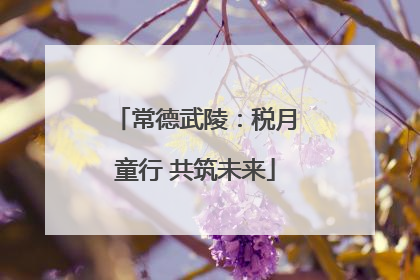常德武陵：税月童行 共筑未来