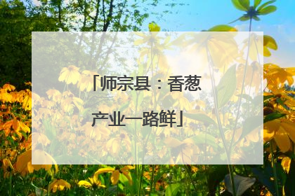 师宗县：香葱产业一路鲜