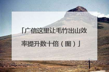 广信这里让毛竹出山效率提升数十倍（图）