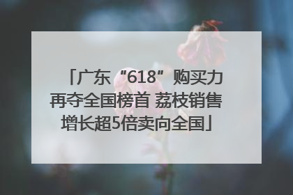 广东“618”购买力再夺全国榜首 荔枝销售增长超5倍卖向全国