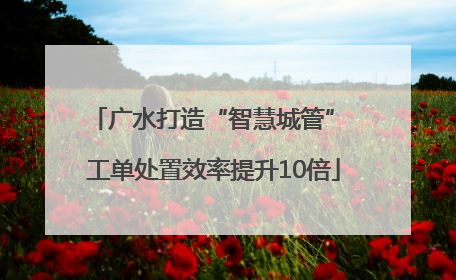 广水打造“智慧城管” 工单处置效率提升10倍