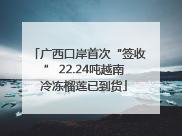 广西口岸首次“签收” 22.24吨越南冷冻榴莲已到货