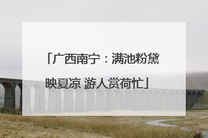 广西南宁：满池粉黛映夏凉 游人赏荷忙