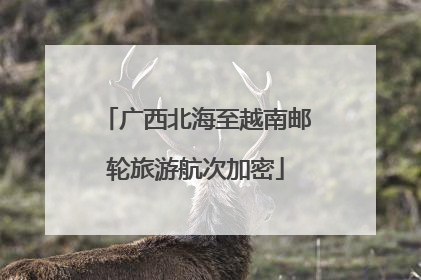 广西北海至越南邮轮旅游航次加密