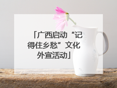 广西启动“记得住乡愁”文化外宣活动