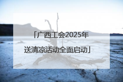 广西工会2025年送清凉活动全面启动