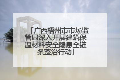 广西梧州市市场监管局深入开展建筑保温材料安全隐患全链条整治行动