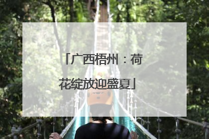 广西梧州：荷花绽放迎盛夏