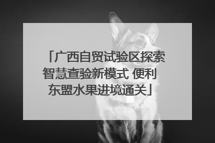 广西自贸试验区探索智慧查验新模式 便利东盟水果进境通关