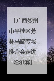 广西贺州市平桂区芳林马蹄专场推介会走进哈尔滨