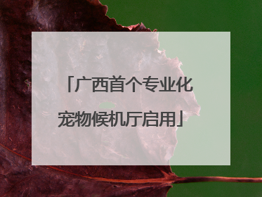 广西首个专业化宠物候机厅启用
