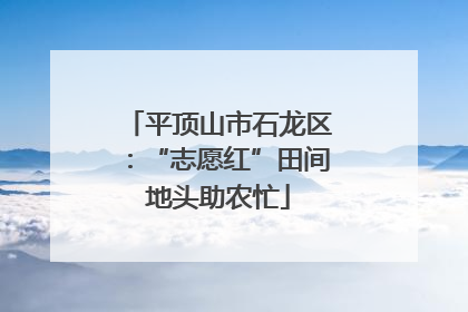 平顶山市石龙区：“志愿红”田间地头助农忙