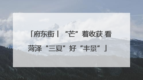 府东街丨“芒”着收获 看菏泽“三夏”好“丰景”