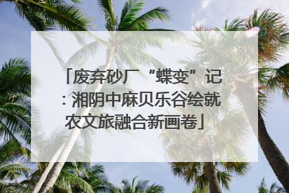 废弃砂厂“蝶变”记：湘阴中麻贝乐谷绘就农文旅融合新画卷