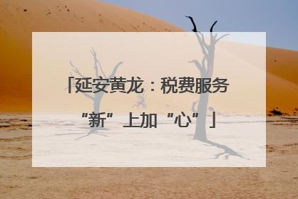 延安黄龙：税费服务“新”上加“心”