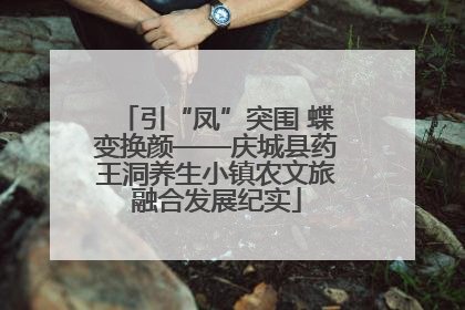 引“凤”突围 蝶变换颜——庆城县药王洞养生小镇农文旅融合发展纪实