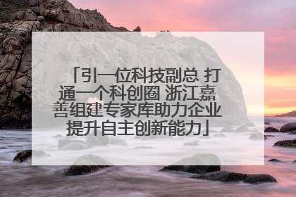 引一位科技副总 打通一个科创圈 浙江嘉善组建专家库助力企业提升自主创新能力