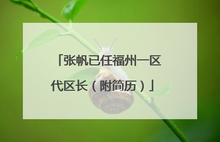 张帆已任福州一区代区长（附简历）