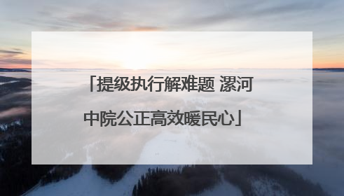 提级执行解难题 漯河中院公正高效暖民心
