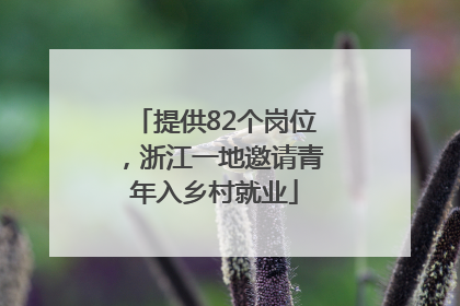 提供82个岗位，浙江一地邀请青年入乡村就业