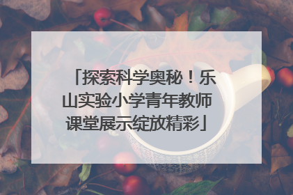 探索科学奥秘！乐山实验小学青年教师课堂展示绽放精彩