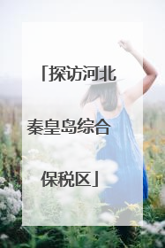 探访河北秦皇岛综合保税区