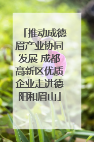 推动成德眉产业协同发展 成都高新区优质企业走进德阳和眉山