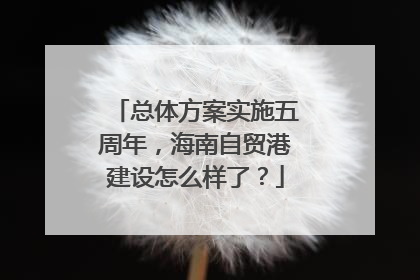 总体方案实施五周年，海南自贸港建设怎么样了？
