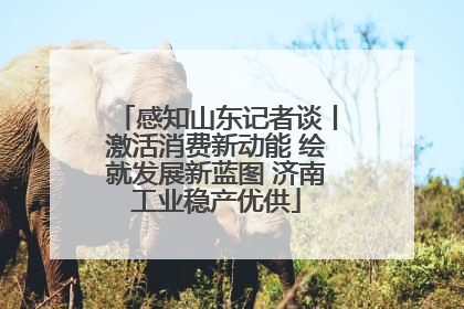 感知山东记者谈丨激活消费新动能 绘就发展新蓝图 济南工业稳产优供